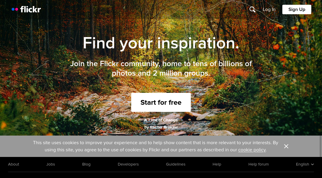 flickr